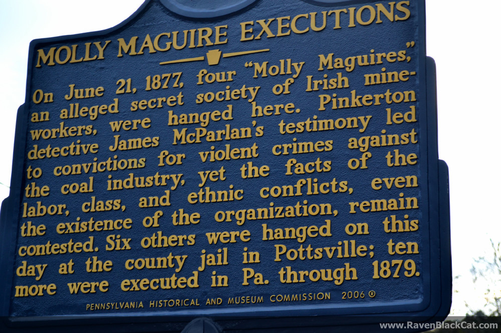 17 The Molly Maguires The Irish History Show Podcast